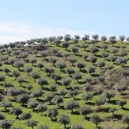 Agroturismo Casal De Castro Avantos المظهر الخارجي الصورة