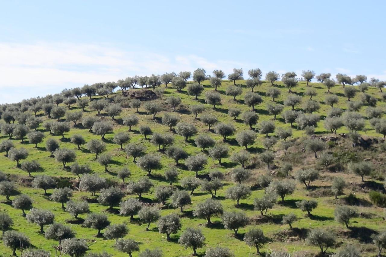 Agroturismo Casal De Castro Avantos المظهر الخارجي الصورة